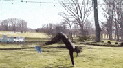 GIF by Miss USA