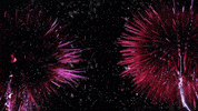 sea anemone water GIF by TED