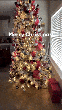 Merry Christmas GIF