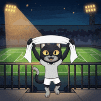 Excited Lets Go GIF by CATBAT