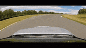 new york GIF by Supercompressor