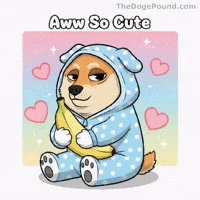 Shiba Inu Hearts GIF by Doge Pound