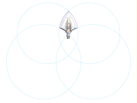 hilbertzaidowiczbuquera giphyupload GIF