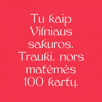 BertaAndTeam celebration sakura vilnius bertaand GIF