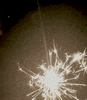 New Year Celebration GIF by This Bushwick Life