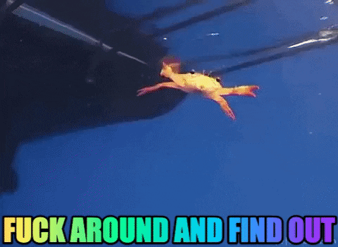 Fafo Fight Me GIF by Justin
