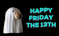Friday The 13Th Dog GIF by Nebraska Humane Society