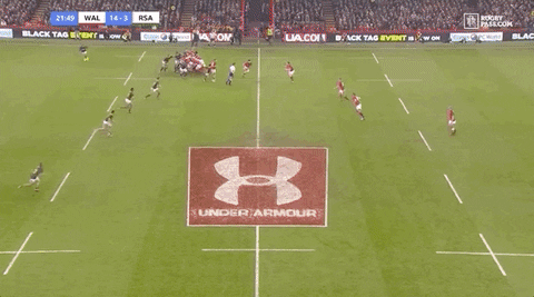 SirPinguton giphyupload GIF