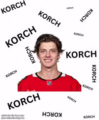 Nhl Blackhawks GIF