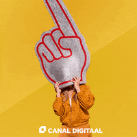 Canal_Digitaal soccer tv no app GIF