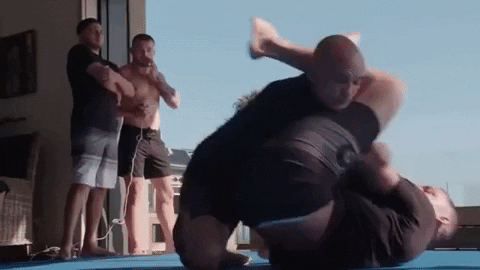 Tumbling Nate Diaz GIF by UFC