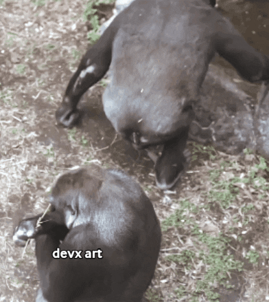 Drinking Water Play GIF by DevX Art