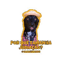 Dog Sticker