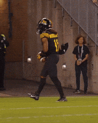 Tiger-Cats Football GIF by Hamilton Sports Group