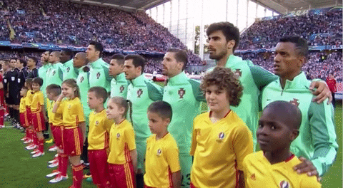 euro 2016 GIF by Sporza