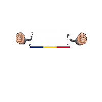 UltrasInPeluze football romania fotbal ultras Sticker