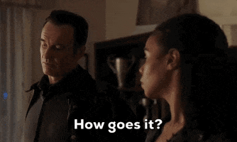 Most Wanted Mw GIF by CBS