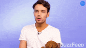 Liam Payne Puppies GIF by BuzzFeed