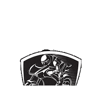 Road Racing Sticker by California Roadrace Association