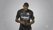 Football Soccer GIF by Bundesliga