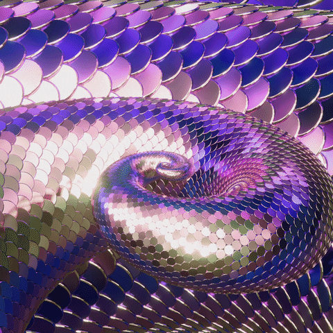 Snake Spiral GIF by Feliks Tomasz Konczakowski