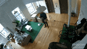 bull dog GIF by The BarkPost 