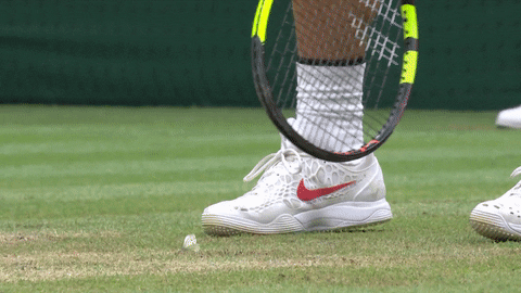 tennis butterfly GIF by Wimbledon
