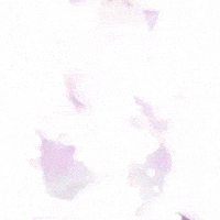 Moe Chea GIF