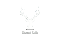 PatronusStudioSoftware patronusstudio patronus studio patronus yazılım Sticker