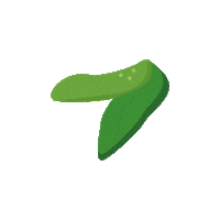 auchanfrance food green sia vegetal Sticker