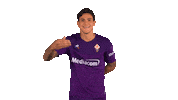 Happy Serie A Sticker by ACF Fiorentina