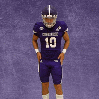 Football Wesleyan GIF by KWC Panthers