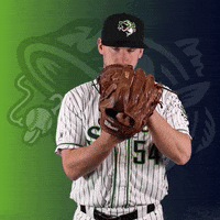 GoStripers dayton gwinnett stripers glove down GIF