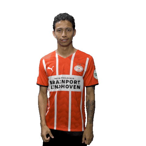 Football Celebrate Sticker by PSV