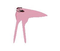 BMHK hpv gedaan preventie baarmoeder Sticker