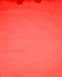 Nc State Basketball GIF by NC State Athletics