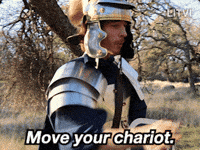CamLitvi funny film car horse GIF