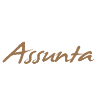 assuntaoficial delivery restaurante juiz de fora assunta Sticker