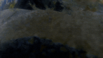 A Sand Portrait (2015)
