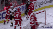 Celebrate Ice Hockey GIF by NHL