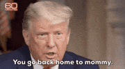 Donald Trump GIF by GIPHY News