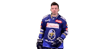 Hokej Sticker by Rytíři Kladno