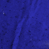 GIF by Kentucky Men’s Basketball. #TGT -