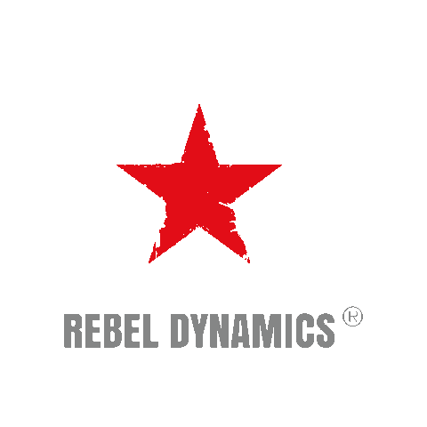RebelDynamics robot boom rebel robotics Sticker