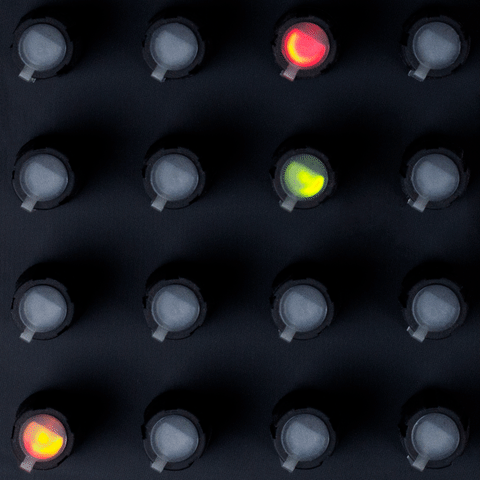 synthesizer rene GIF