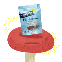 Mushroom Feel Better Sticker by Carrington Farms