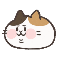 catlifesquarefish cat no 貓 不 Sticker
