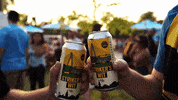 Usl Championship Party GIF by Charleston Battery