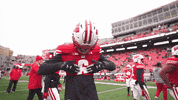 Big Ten Football GIF by Wisconsin Badgers