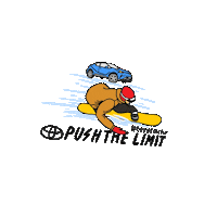 new star celebration Sticker by We are in sports
